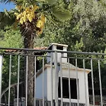 Calendula Villa *