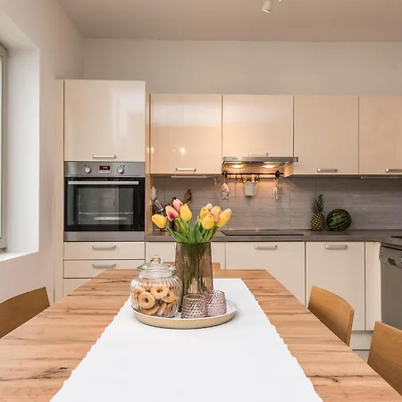 Calendula * Novigrad (Dalmatia)