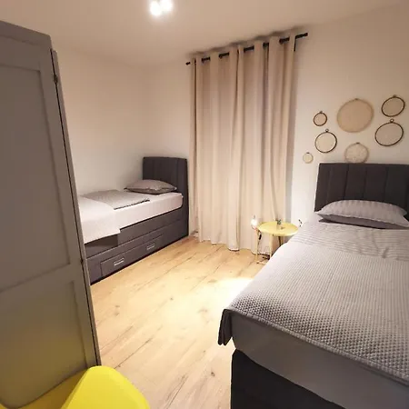 Calendula * Novigrad (Dalmatia)