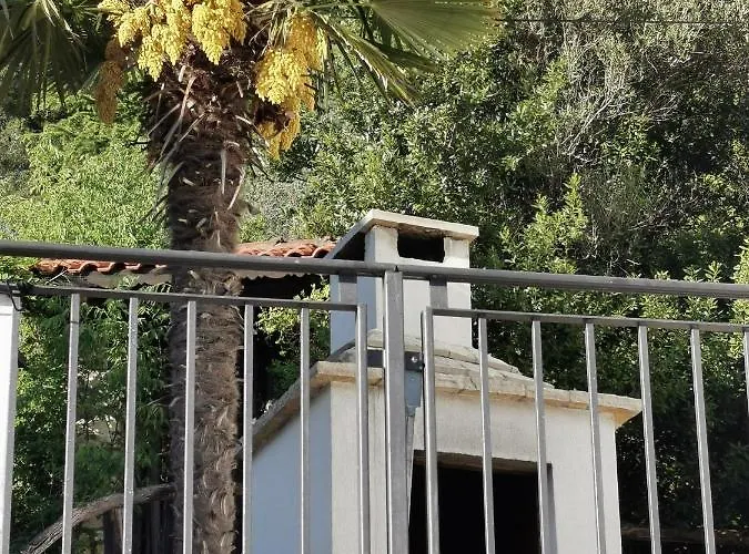 Calendula Villa *