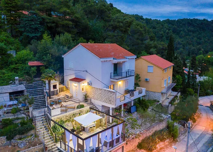 Calendula * Novigrad (Dalmatia)