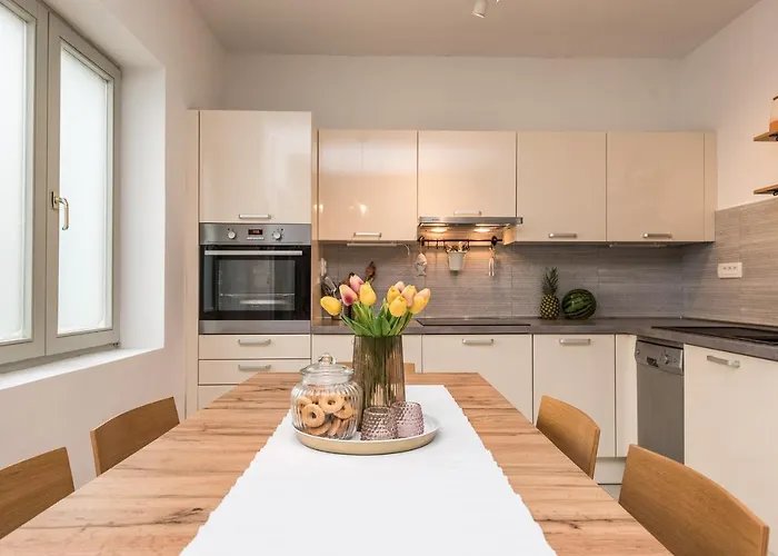 Calendula * Novigrad (Dalmatia)