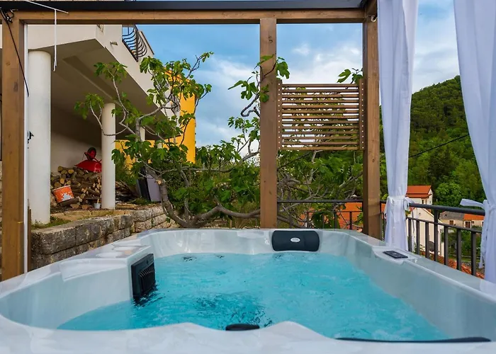 Calendula * Novigrad (Dalmatia)