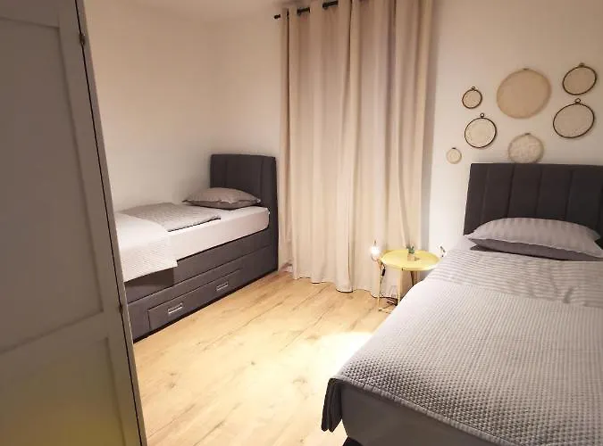 Calendula * Novigrad (Dalmatia)